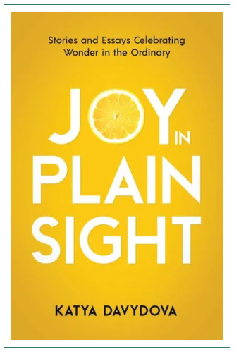 Joy In Plain Sight: Introduction – by Katya Davydova